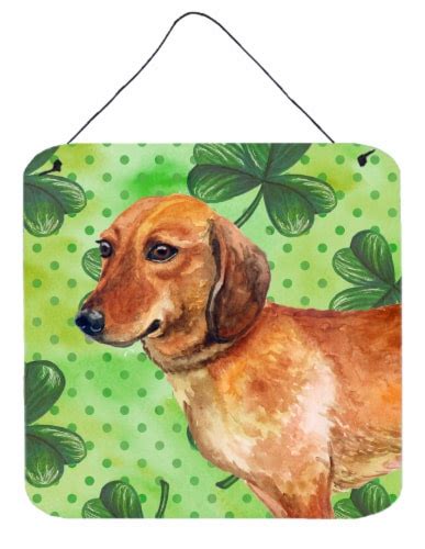 Carolines Treasures Bb9826ds66 Dachshund St Patrick S Wall Or Door Hanging Prin 6hx6w Kroger