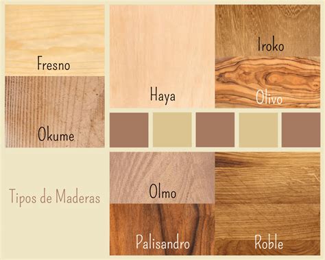 Tipos De Madera Muestras De Las Principales Maderas Comerciales