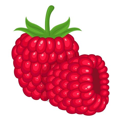 Cartoon Raspberries