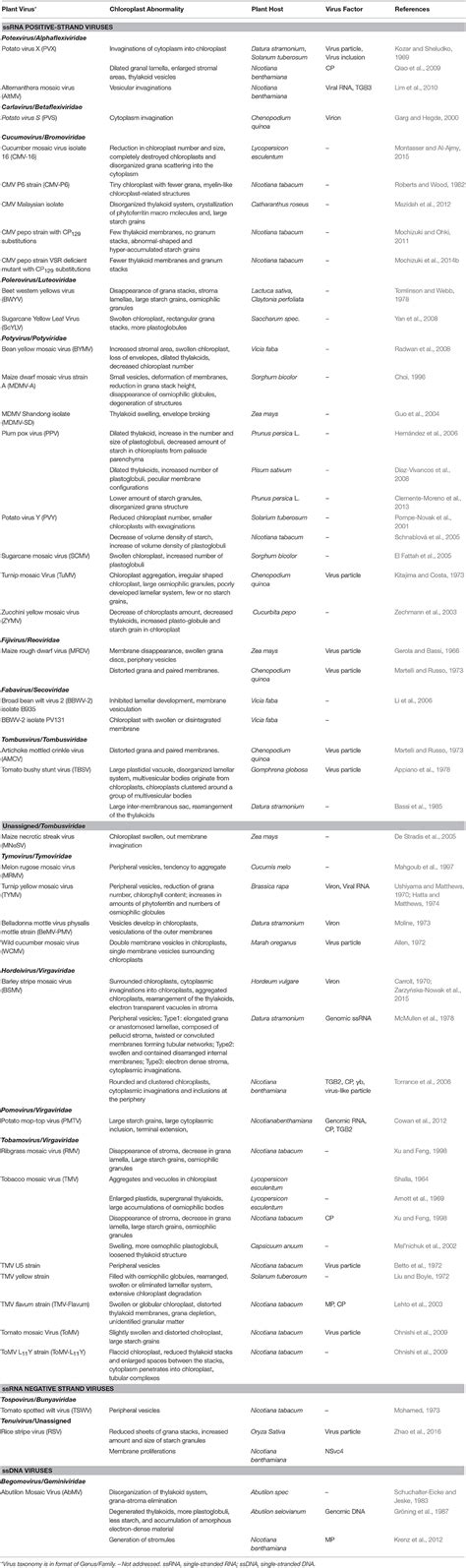 Frontiers Chloroplast In Plant Virus Interaction