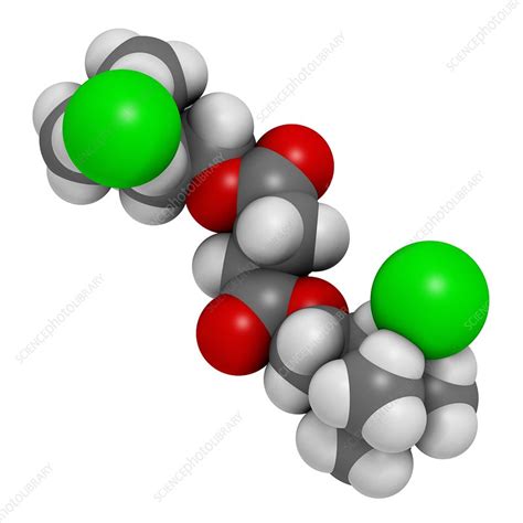 Suxamethonium chloride molecule - Stock Image - F012/1004 - Science Photo Library