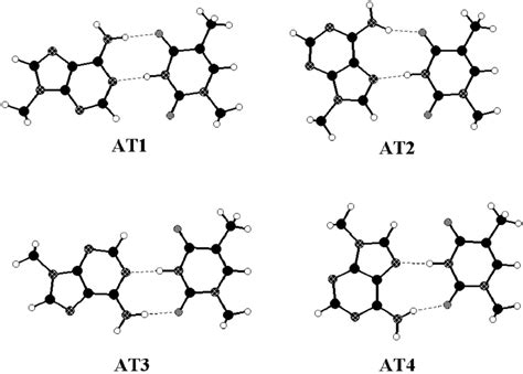 Hydrogen bonded adenine-thymine base pairs. The first one is... | Download Scientific Diagram