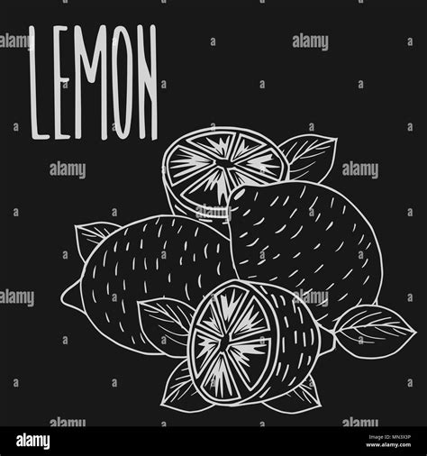 Cartoon Lemon Clipart Black And White Stock Photos Images Alamy