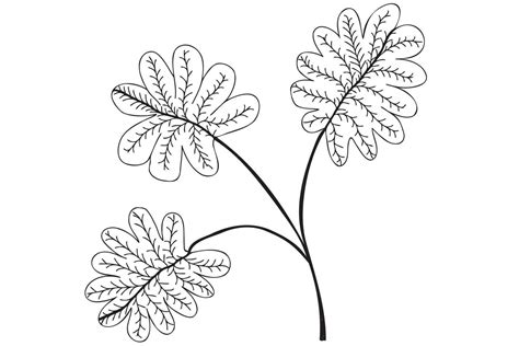 Black oak leaf illustration. Black outline, line art vector ...