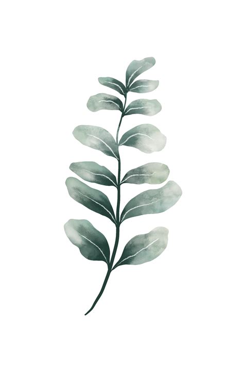 Green Watercolor Leaves 11660316 PNG