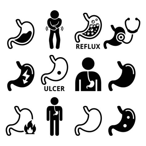 Stomach Ulcer Vector Images Over 1400