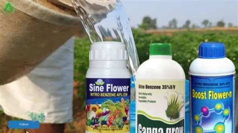 Boom Flower Nitrobenzene V V Plant Growth Regulator At Litre