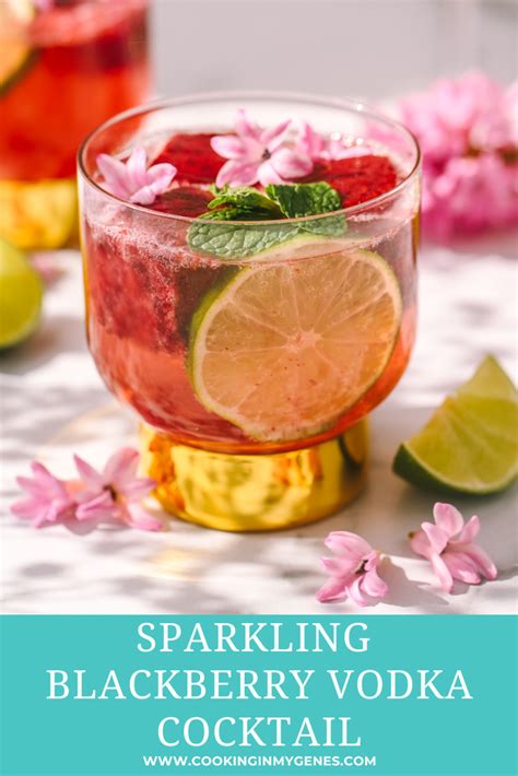 The Best Sparkling Blackberry Vodka Drinks Recipe Cooking In My Genes