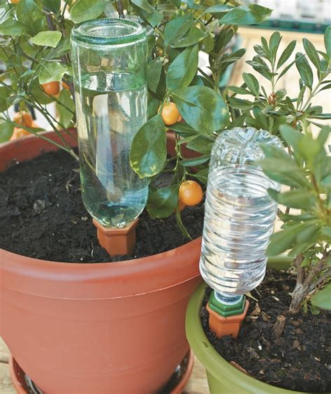 Plant Sitters How To Water Plants While Away On Vacation Garden