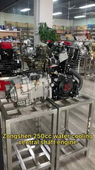 Factory High Quality Zongshen Water Cooled CG250cc Motorcycle Engine