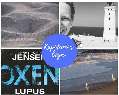 Oxen Lupus Thriller Niels Oxen Reihe 7