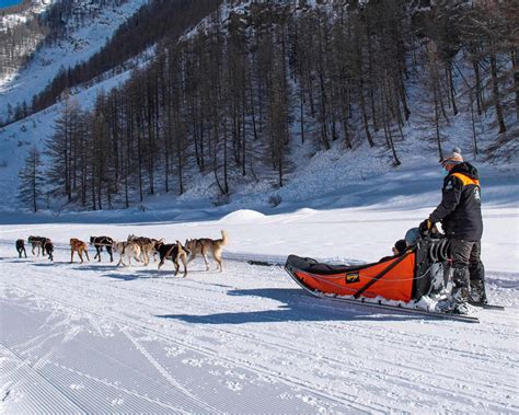 Chiens De Traineau Aussois Haute Maurienne Vanoise