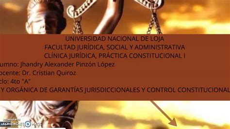 Ley Organica De Garant As Jurisdiccionales Y Control Constitucional