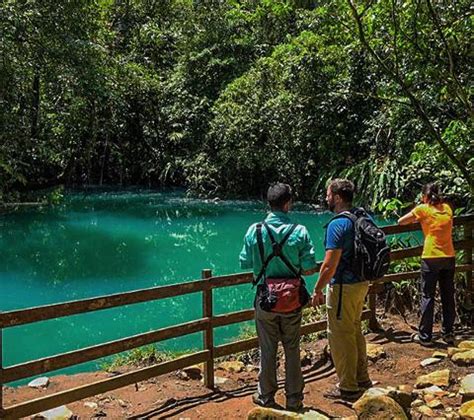 Rio Celeste National Park Guided Hike (Blue River) - Costa Rica ...