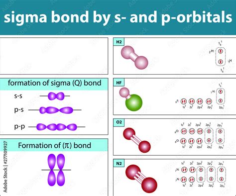 sigma bond by s- and p-orbitals Stock Vector | Adobe Stock