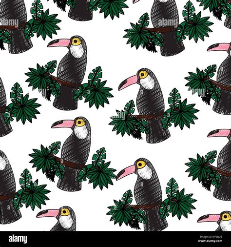 Tropical Bird Toucan Exotic Seamless Pattern Stock Vector Image Art