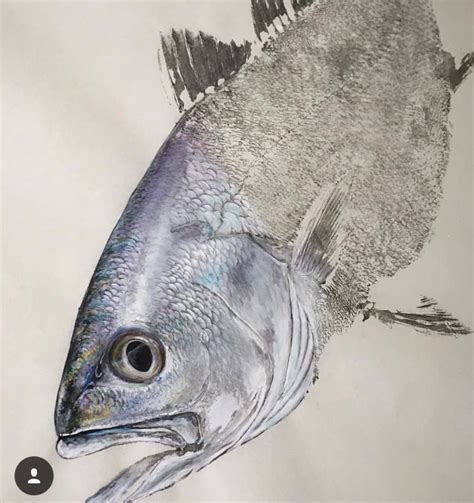 How To Do Gyotaku Fish Rubbing With Pictures Artofit