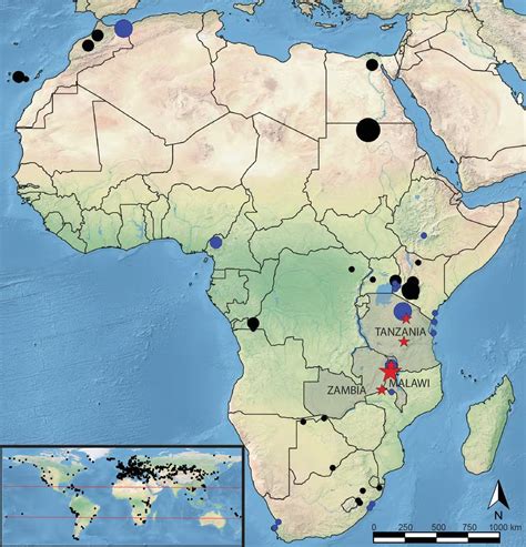 Oldest Human Dna From Africa Illuminates Complex Migrations