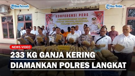 Kilogram Ganja Kering Diamankan Polres Langkat Diangkut Pakai