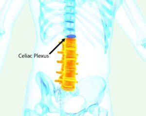 Celiac Plexus Block - Ainsworth Institute