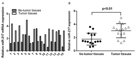 Mir 217 Is Upregulated In Cscc Tissues A The Expression Of Mir 217 In Download Scientific