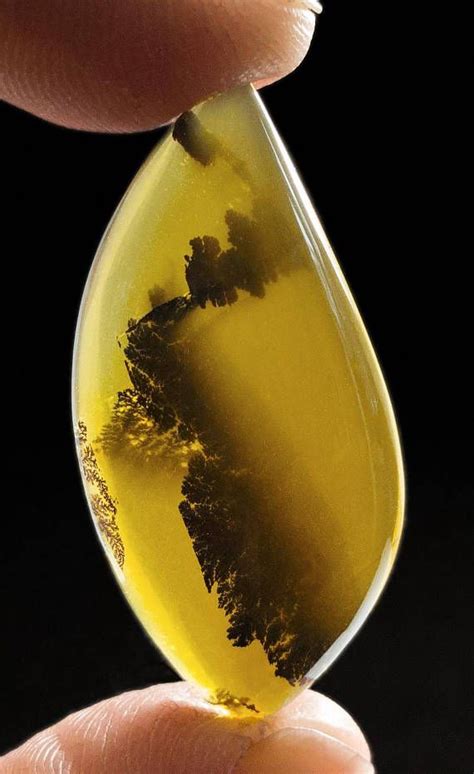 This Is A Striking Yellow Translucent Dendritic Chalcedony Cabochon