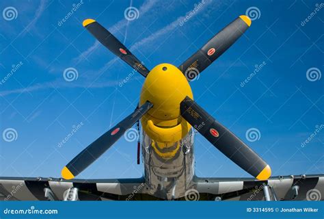 Yellow Nose of a P-51 Mustang Stock Image - Image of wwii, vintage: 3314595