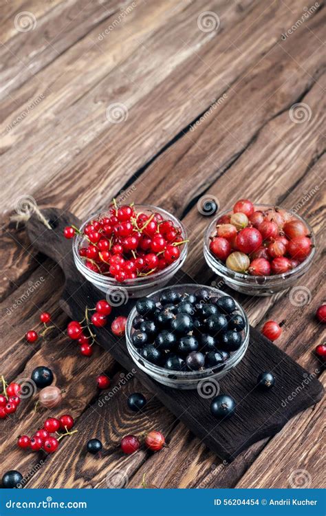 Various seasonal berries stock photo. Image of fruits - 56204454