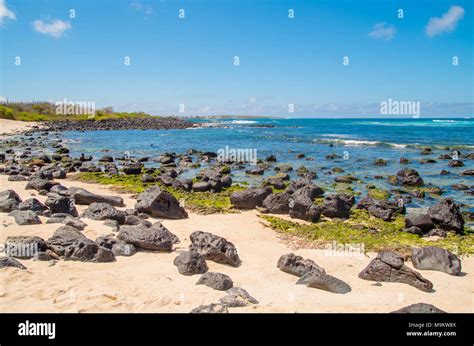 Gorgeous View Of Galapagos Islands With Rocks In The Ocean Of The