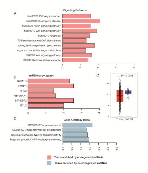 Pathway Microrna Target And Gene Ontology Enrichment Analysis A The Download Scientific