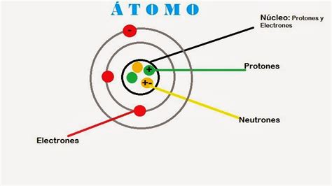 Bioquimica Conozcamos Las Partes De Un Tomo