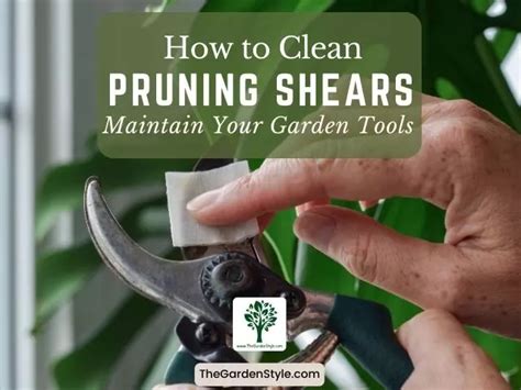 How To Clean Pruning Shears Maintain Your Garden Tools The Garden Style