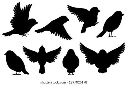 Sparrows Flying Design