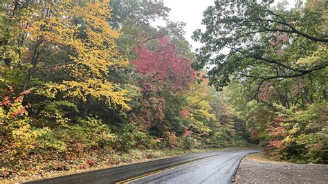 Check out fall foliage in NC mountains