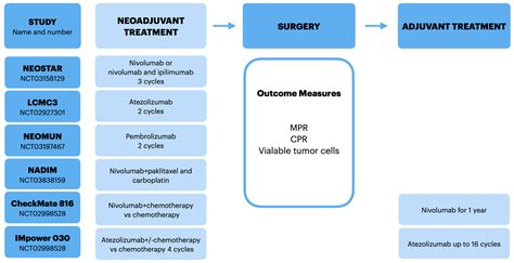 Cancers Free Full Text Neoadjuvant And Adjuvant Immunotherapy In