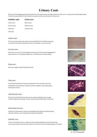 Urine casts &crystals | PDF