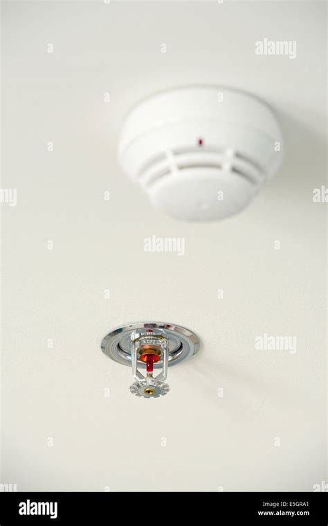 Sprinkler And Smoke Detector On The Ceiling Stock Photo Alamy