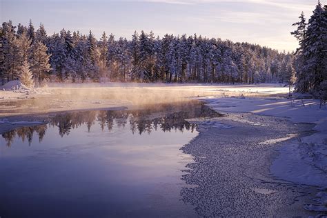 Fenne.be | January, winter wonderland