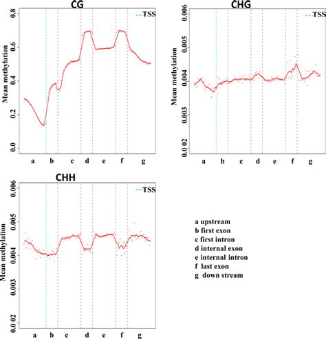 Cg And Non Cg Proximal Sequence Features Logo Plots Of The Sequences