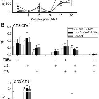 Siv Specific T Cell Responses Were Similar Across Groups The Average