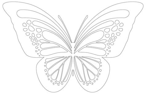 Butterfly Stencil Printable Outline For Applique - vrogue.co