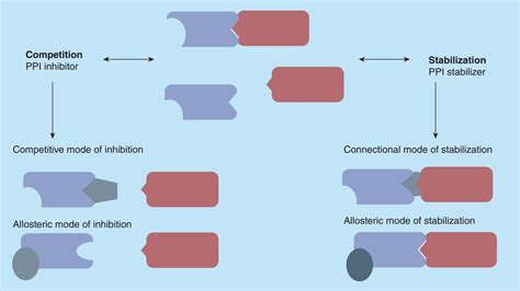 Brief Introduction Of Protein Protein Interaction Ppi Creative Proteomics Blog