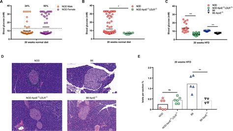 Blood Glucose And Islet Size In Nod Apoe −− Ldlr −− Mice On A Normal