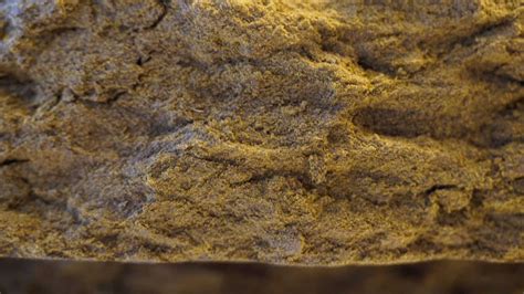 Black Afghan Gold Seal Hash Buy Online At Budlyft