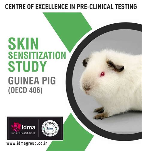 Guinea Pig Testing Services At Rs 260000sample In Panchkula Id