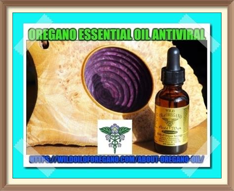 Oregano Oil Antibiotic – Hedd Wynn Essentials