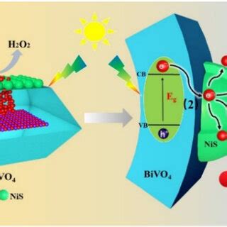 Schematic Illustration Of The Photocatalytic H 2 O 2 Production