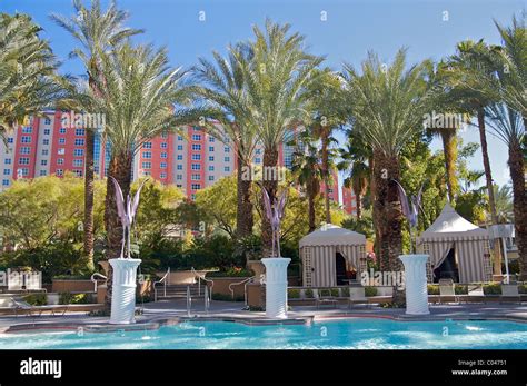 Flamingo las vegas pool - ferycrew