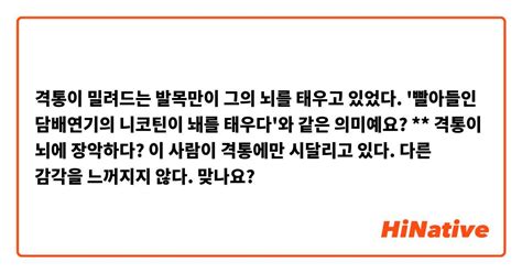 격통이 밀려드는 발목만이 그의 뇌를 태우고 있었다 빨아들인 담배연기의 니코틴이 놰를 태우다와 같은 의미예요 격통이