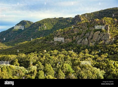 Australian Outback Landscape Stock Photo - Alamy